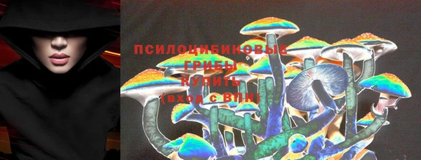 ГАЛЛЮЦИНОГЕННЫЕ ГРИБЫ Верхний Тагил
