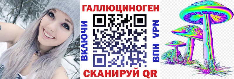 где купить наркоту  Тамбов  Псилоцибиновые грибы GOLDEN TEACHER 
